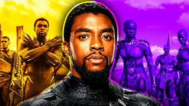 Chadwick Boseman, Black Panther, Dora Milaje