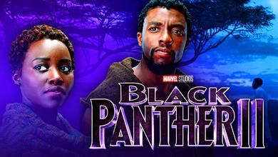 Black Panther, T'Challa, Chadwick Boseman, Black Panther 2, MCU, Marvel