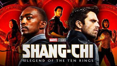 Shang-Chi Falcon and Winter Soldier