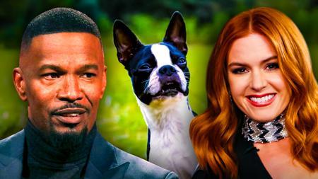 Jaime Foxx, Isla Fisher, Strays movie dog